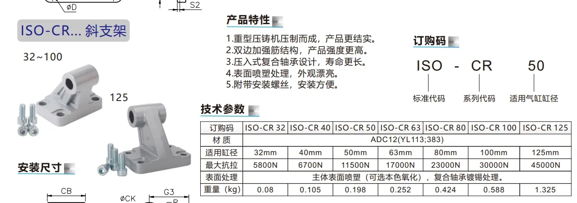 Double Iron Earring Accessories