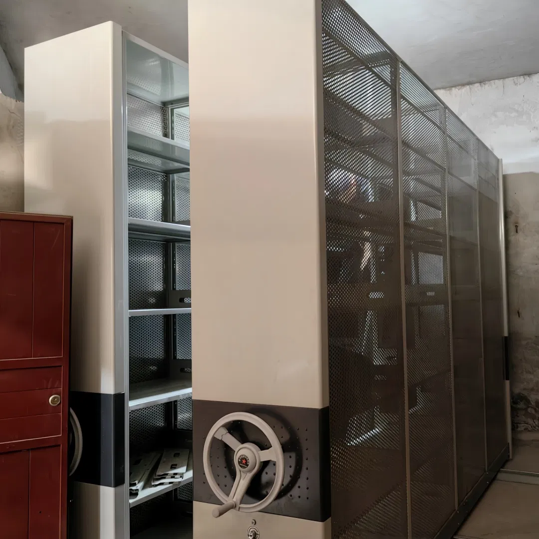 Customizable Mobile Shelving System for Efficient Lab and Archive Storage