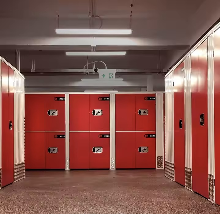 Yk New Modern Style Ladies Automated Bag Storage Lockers Plastic Wardrobe for Gym Changing Room and Warehouse Use