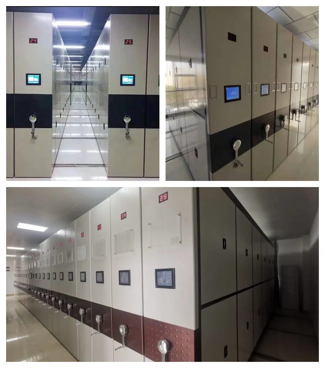 Mobile Storage Systems Detail 2