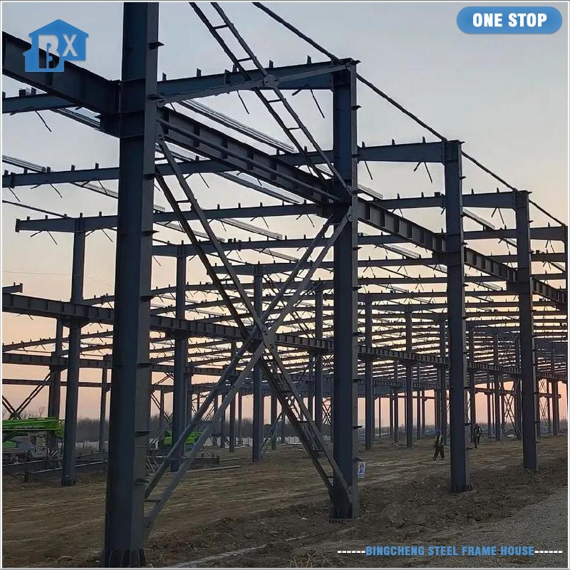 Prefabricated Heavy-Duty Steel Frame Workshop Featuring Spacious Interior Layout