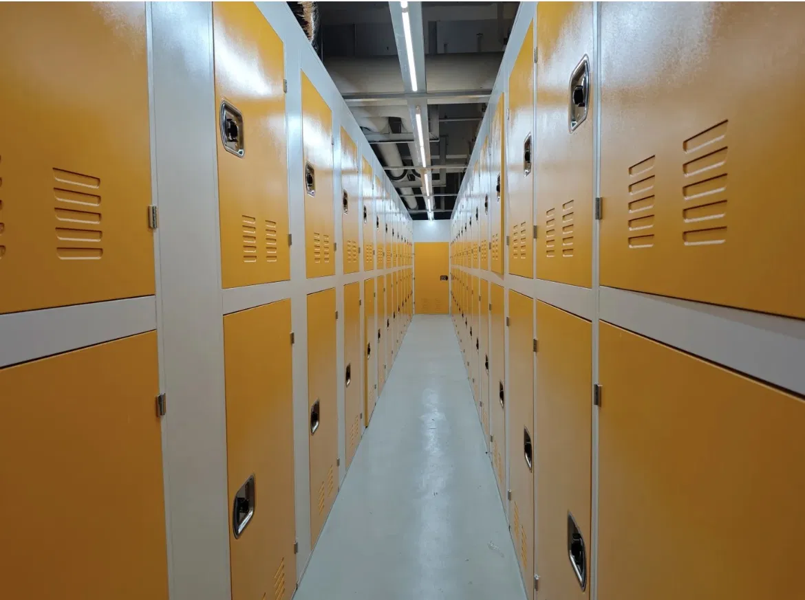 Yk New Modern Style Ladies Automated Bag Storage Lockers Plastic Wardrobe for Gym Changing Room and Warehouse Use