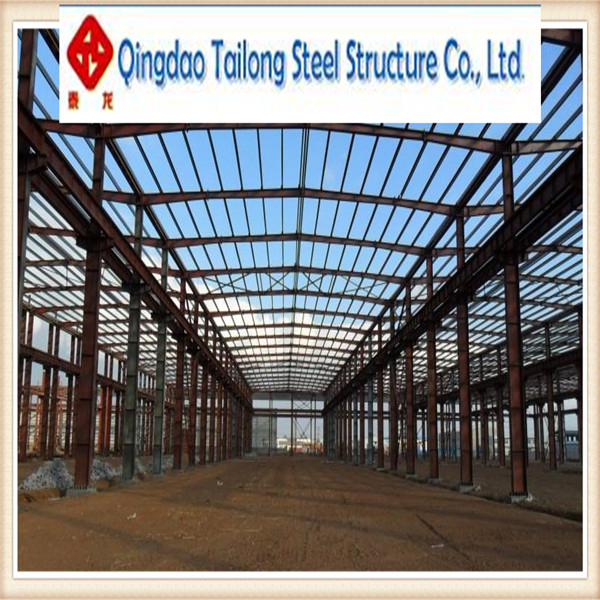 Steel Structure Plant Layout with Qingdao Tailong