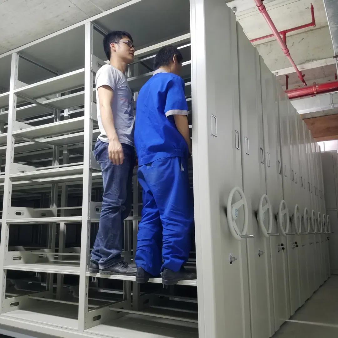 Customizable Mobile Shelving System for Efficient Lab and Archive Storage