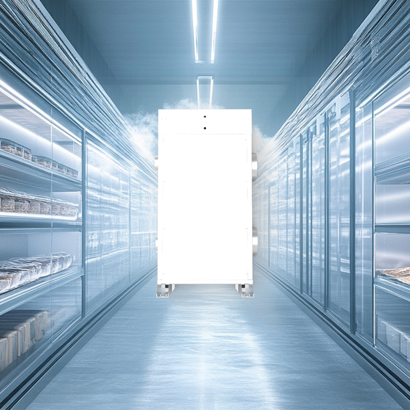 Automated Frost-Free Cold Storage with Dryer