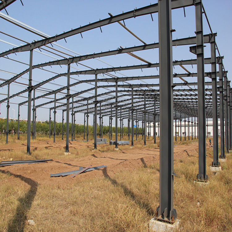 Plo Plant Layout with Qingdao Tailong