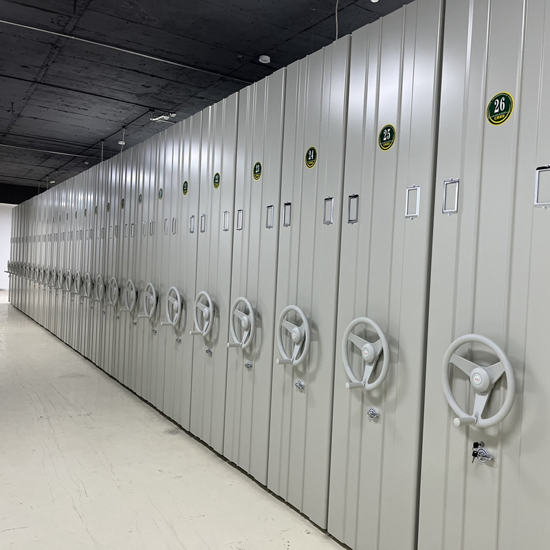 Archive Compact Shelving Storage Adjustable Shelf Movable Cabinet High-Density Manual Mobile Shelves