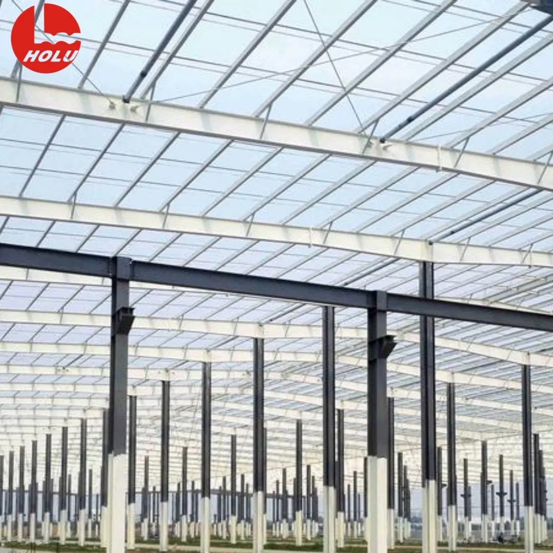 Honglu Fire-Retardant Steel High-Safety Disease Prevention Poultry and Livestock Breeding Warehouse