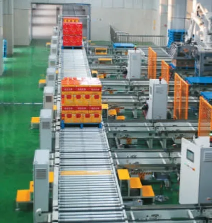 ASRS Stacker Crane System