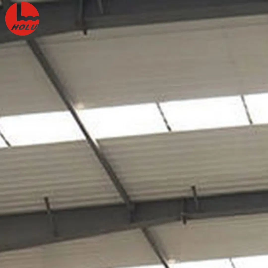 Honglu Fire-Retardant Steel High-Safety Disease Prevention Poultry and Livestock Breeding Warehouse