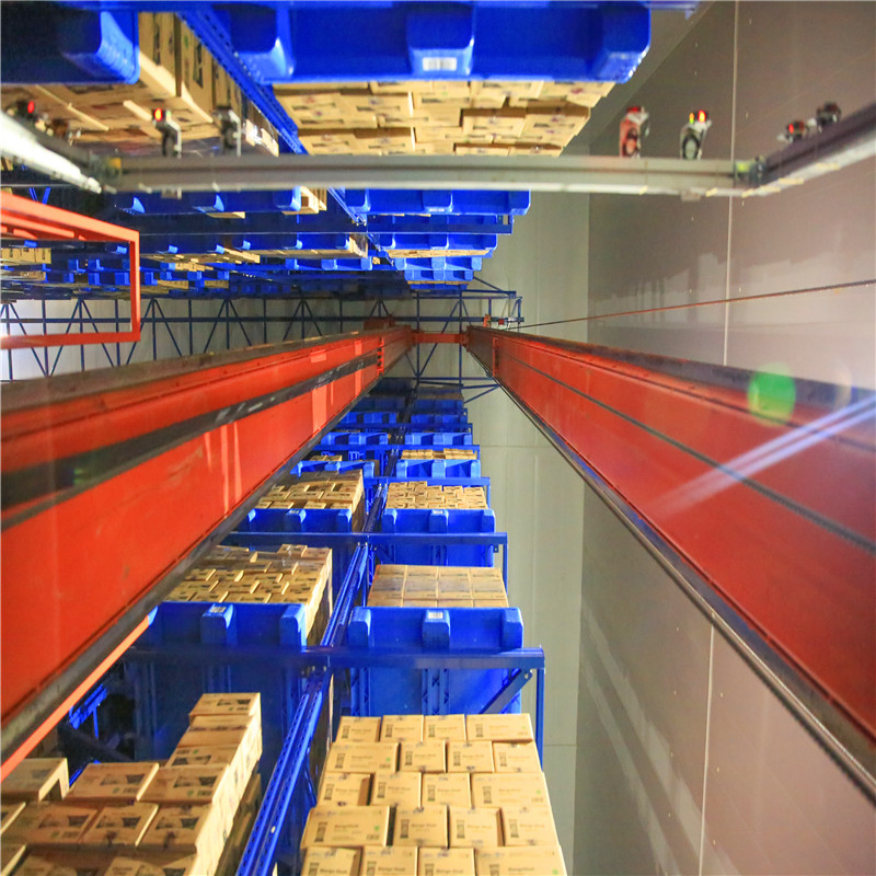 Tailored Cold Warehouse Solutions by Dl Crafted in China