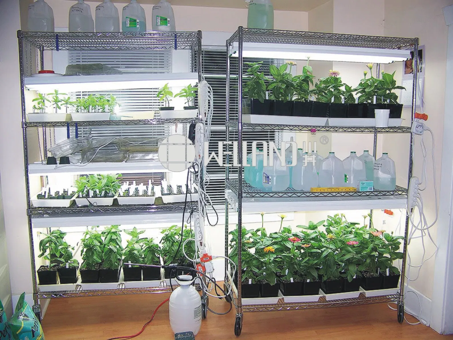 Adjustable 6 Tiers Chrome Metal Plant Storage Rack Microgreens Growing Wire Shelving