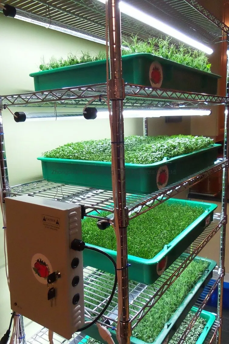 Wire Shelving Detail 2