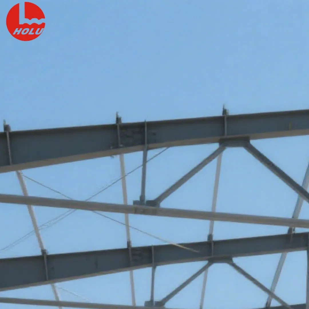 Honglu Fire-Retardant Steel High-Safety Disease Prevention Poultry and Livestock Breeding Warehouse