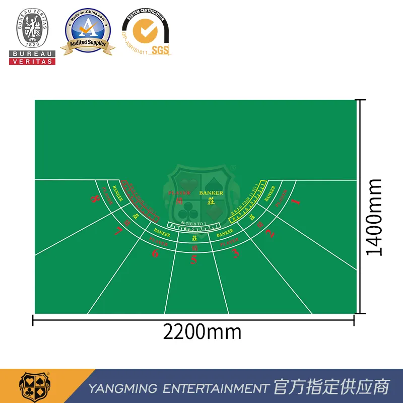 Casino Baccarat Table Layout Detail