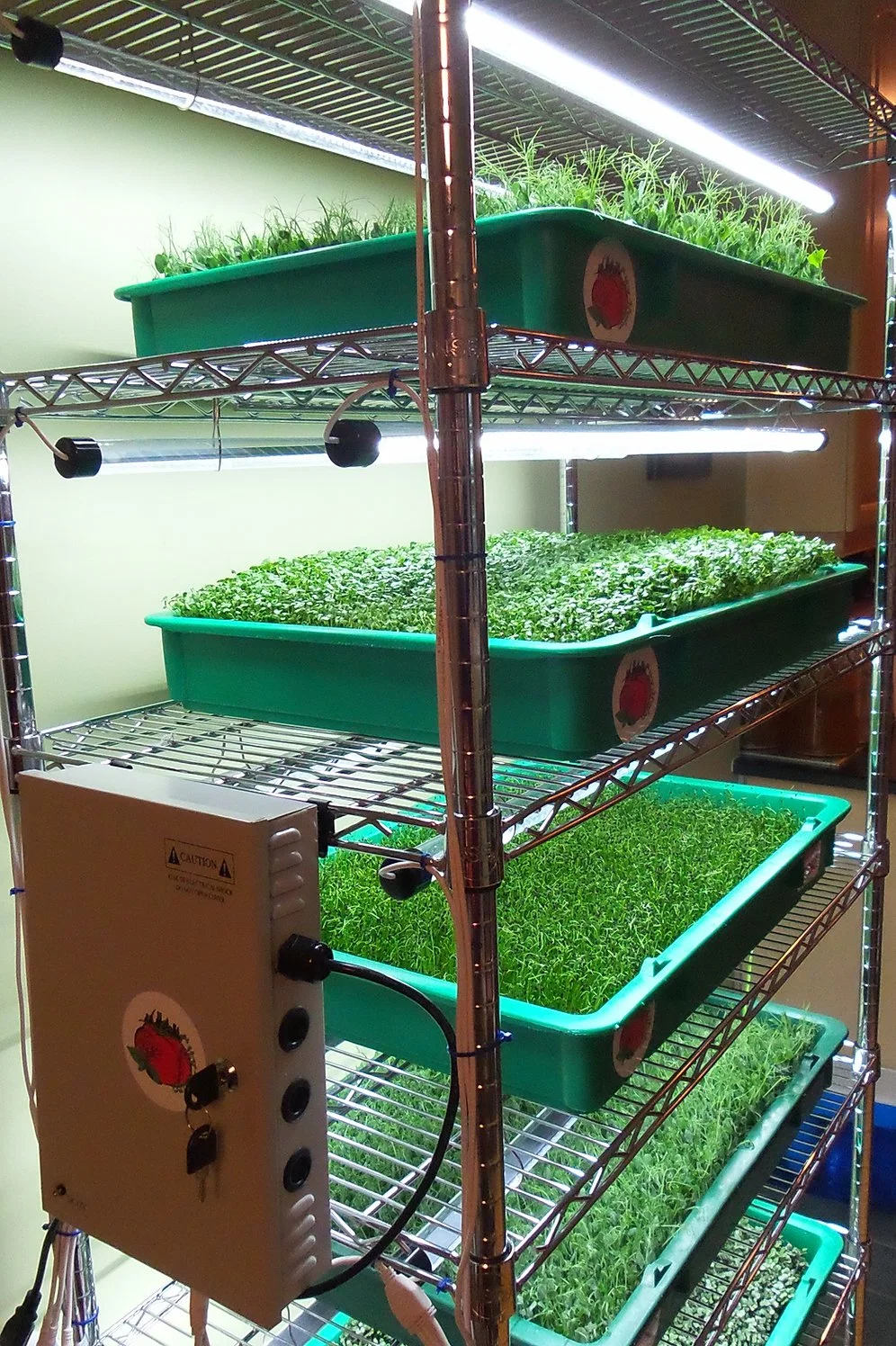 Adjustable 6 Tiers Chrome Metal Plant Storage Rack Microgreens Growing Wire Shelving