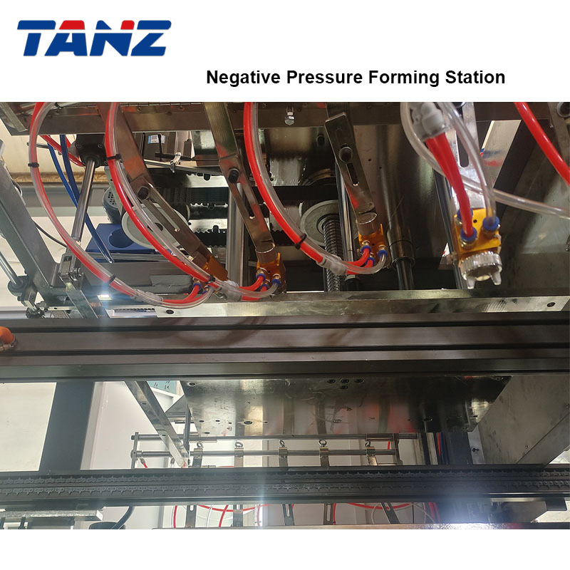 Hot CE Approved Negative Pressure Forming Trays Cosmetic Food Container Thermoforming Machine Tz-7695
