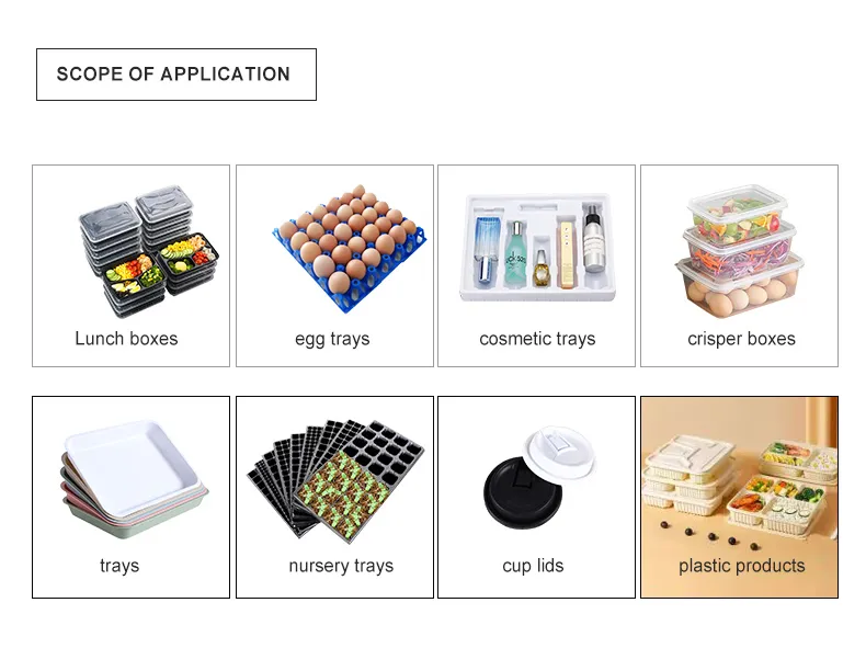 Thermoforming System 5