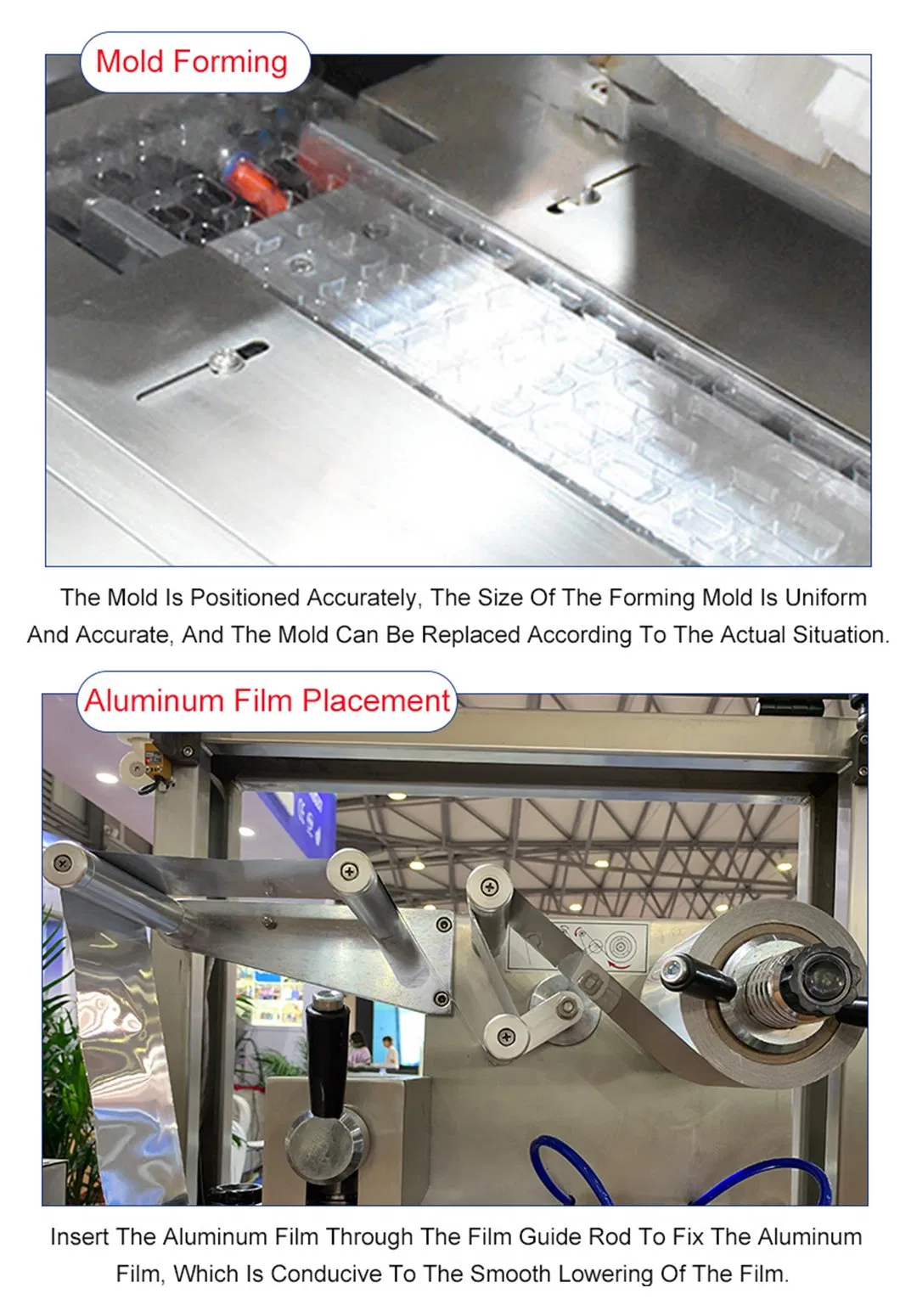 Blister Packing Detail 3