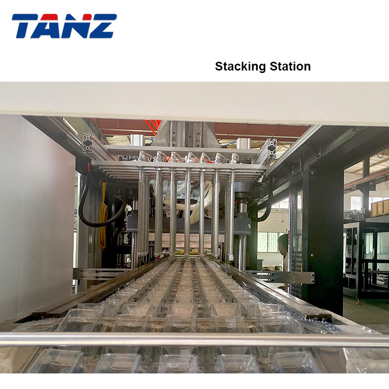 Manufacture 760X950mm Negative Pressure Forming Plastic Making Louch Box Thermoforming Machine Tz-7695