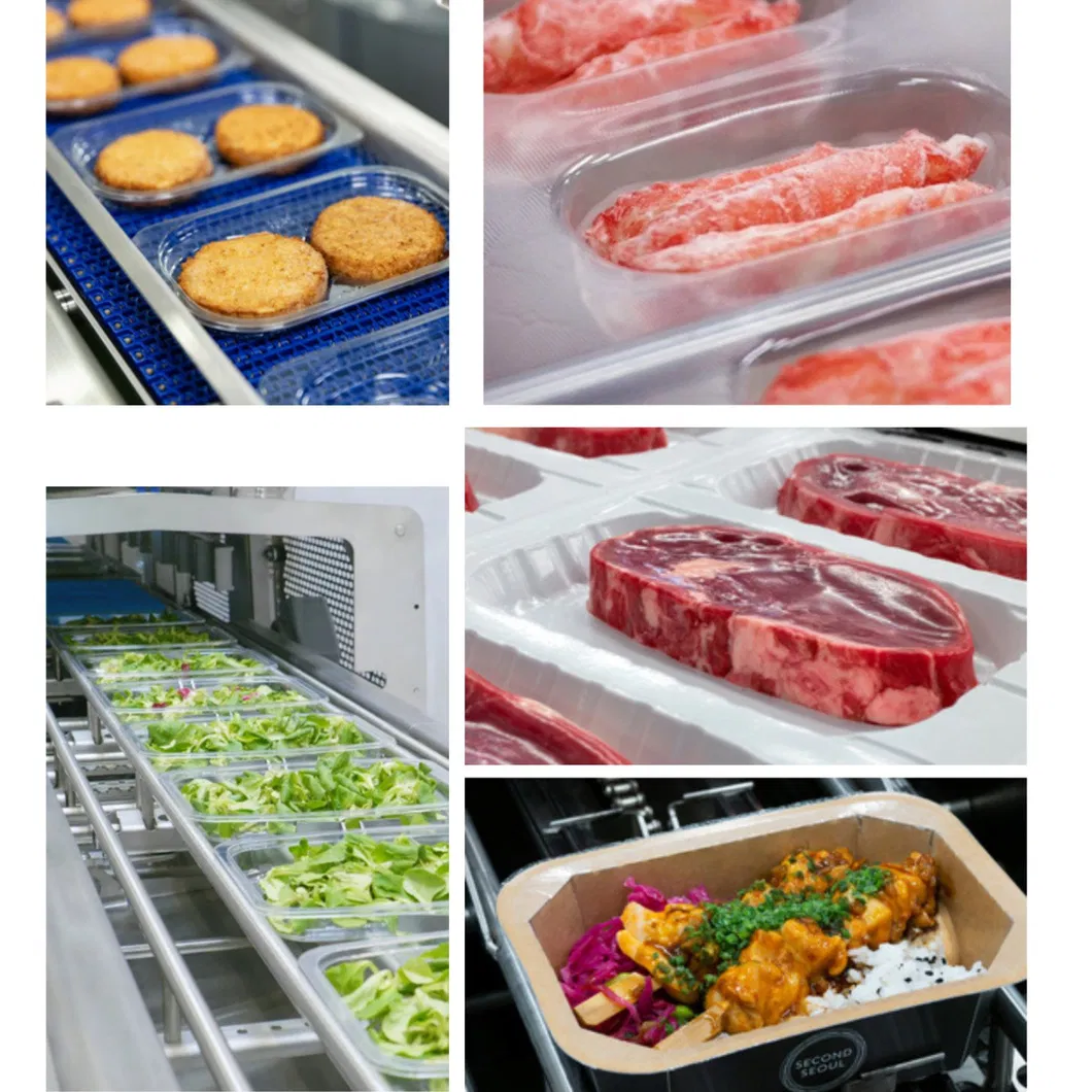 Automatic Vacuum Thermoforming