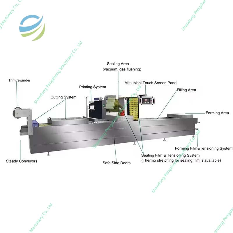 Highly Efficient Fully Automatic Roll-Fed Thermoforming Poultry Beef Meat Fish Vacuum Packaging Machine