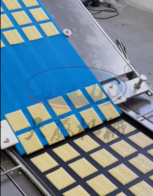 Industrial - Grade Professional Commercial Soft Biscuit Forming Machine Tray Rotary Moulder