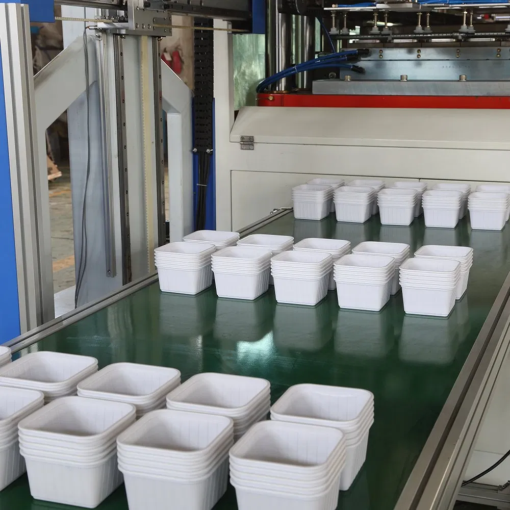 Fully Automatic Plastic Cup Lid Forming Machine Clamshell Blister Packaging Meat Box Thermoforming Machine China