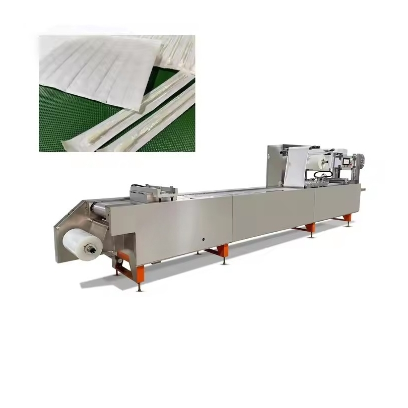 Automatic Large Thermoforming Vacuum Map Modified Atmosphere Packaging Machine Mold Customized Making