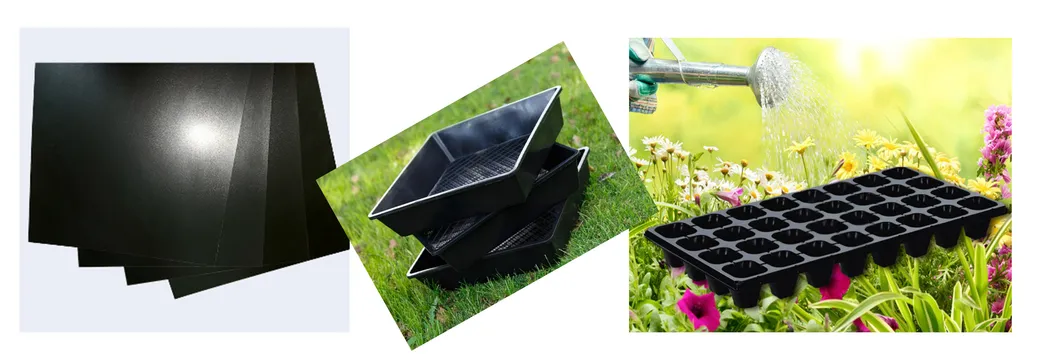 Final Products Display