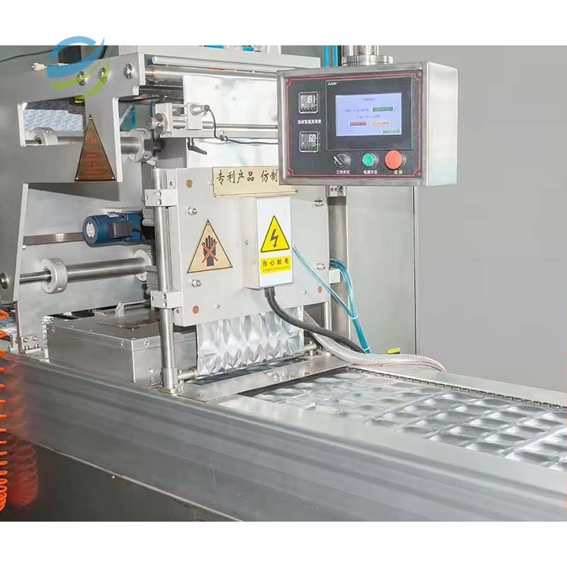 Highly Efficient Fully Automatic Roll-Fed Thermoforming Poultry Beef Meat Fish Vacuum Packaging Machine