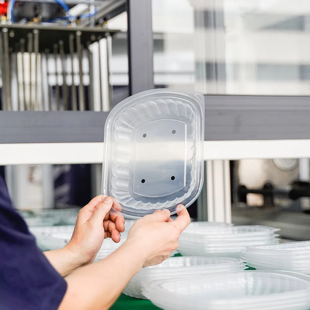 Full-Automatic Four Stations Servo Motor Drive Plastic PS Fast Food Box Thermoforming Machine Production Line