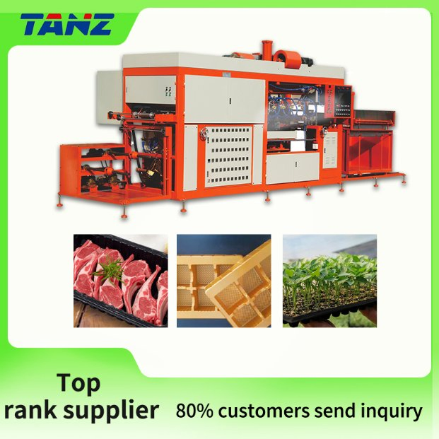 CE Approved 760*1220mm Tanz Wooden or Standard Package PE Semi-Automatic Thermoforming Machine