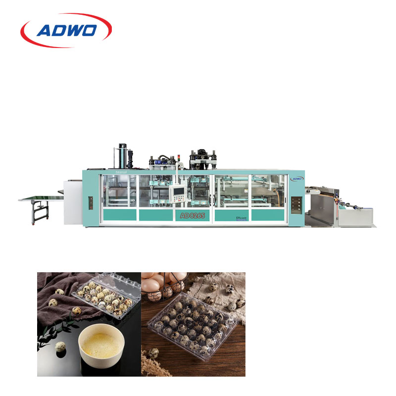 Adwo Fully Automatic Industrial Plastic Egg Tray Vacuum Forming Thermoforming Making Machine