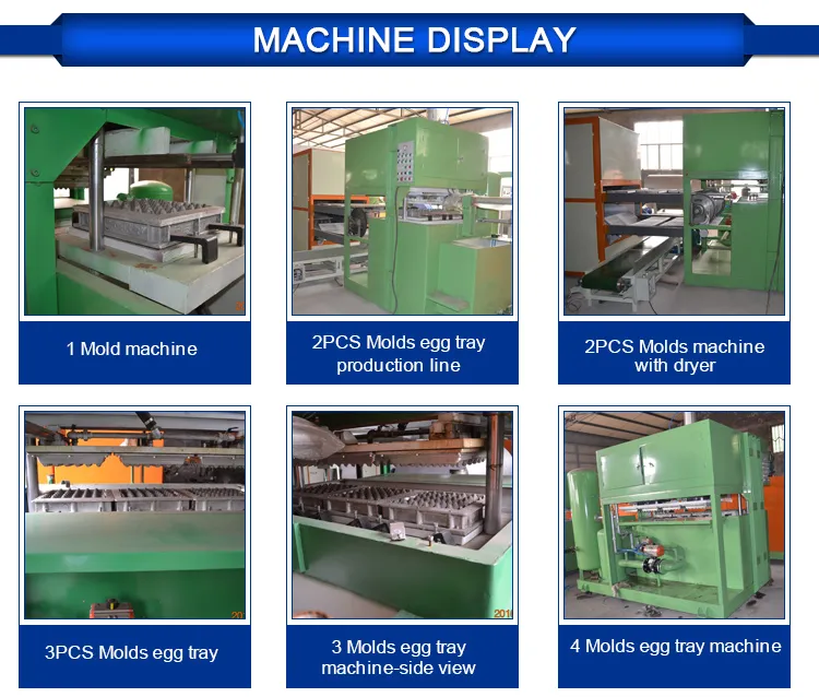 Paper Egg Tray Making Machine Production Line