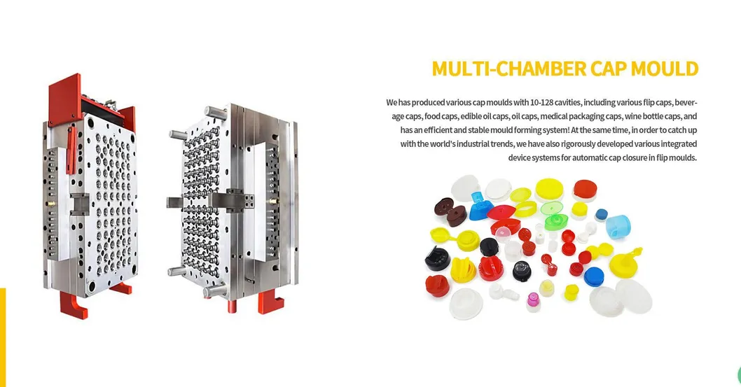 Multi Cavity Cap Mould Display