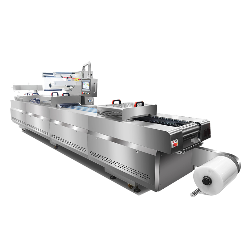 Industrial Multi-Station Thermoforming Vacuum Sealing Forming Making Machine for High-Volume Vegetable Snack Tray Production