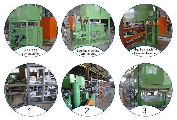 Automatic Tray Making Machine