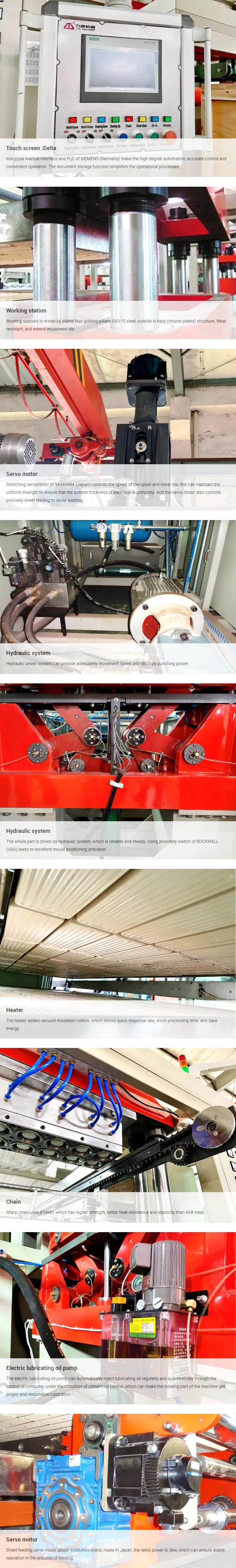 Production Line Detailed