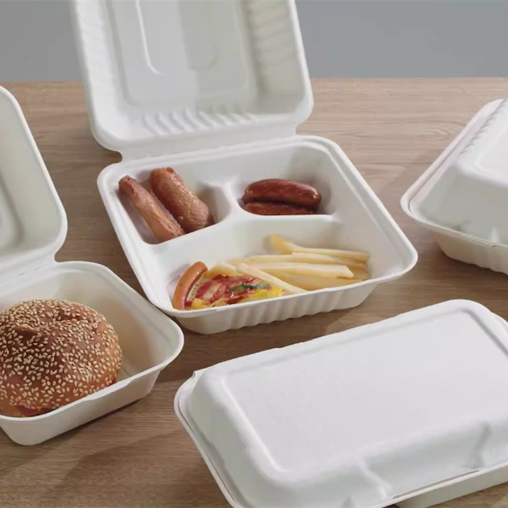 Automatic Disposable Lunch Box Vacuum Forming Machine for Food Clamshell Packaging Container