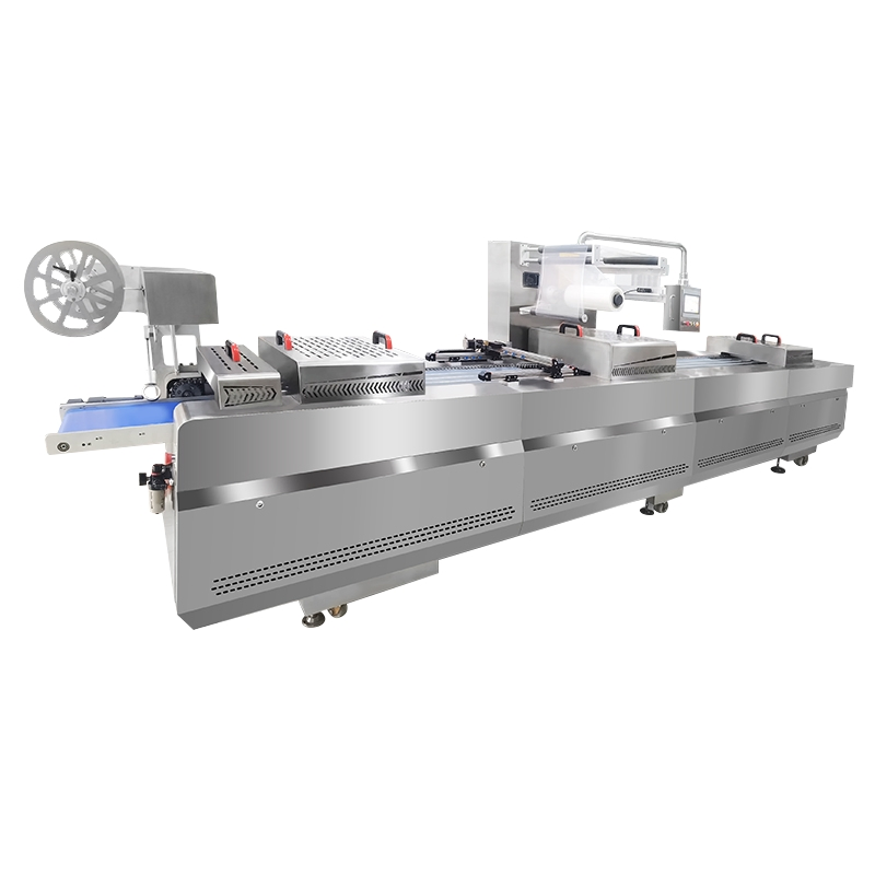Industrial Multi-Station Thermoforming Vacuum Sealing Forming Making Machine for High-Volume Vegetable Snack Tray Production