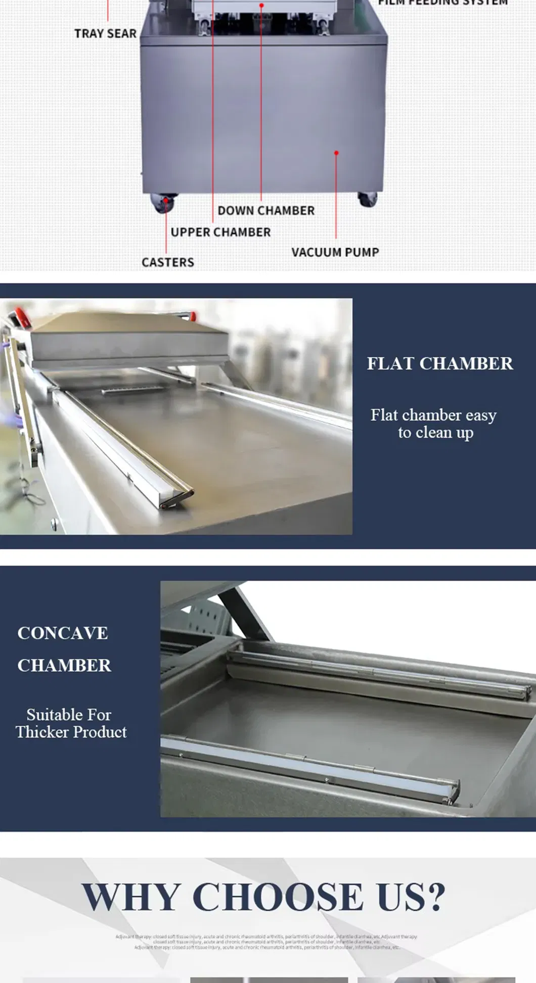 Vacuum Packing Machine View 2