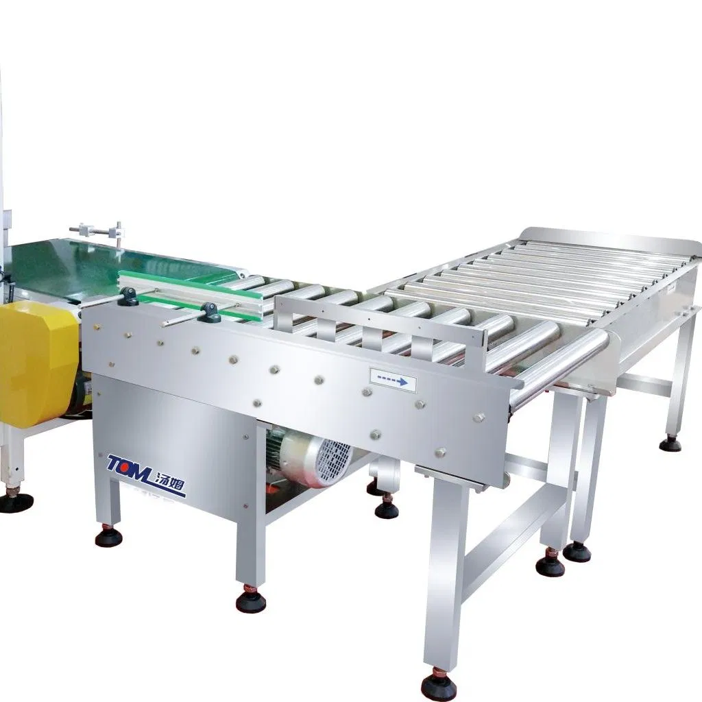 Automatic Weighing, Palletizing and Packaging System for Valve Bags of Chemical Products
