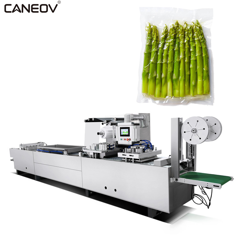 Precision Automatic Thermoforming Vacuum Packaging System with Digital Control Panel