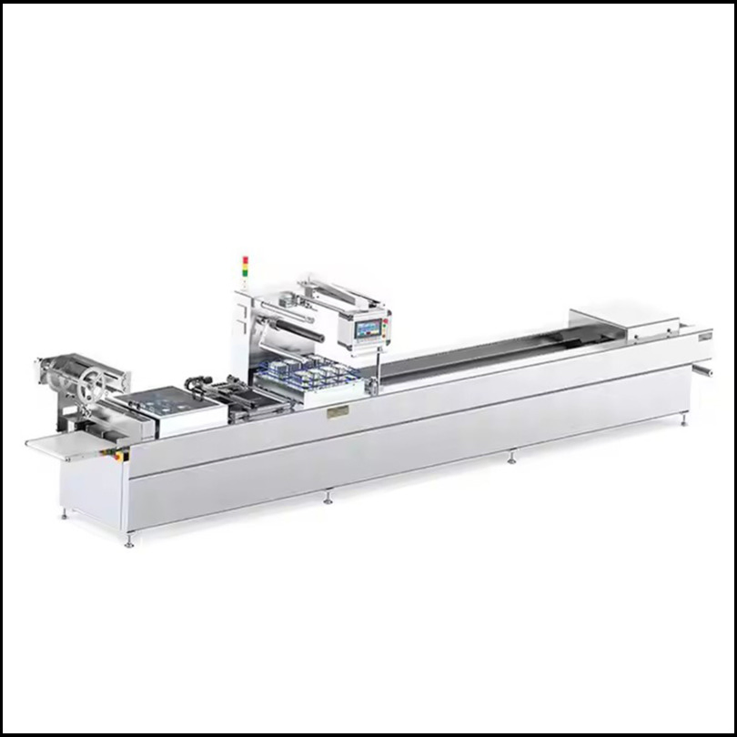 Automatic Large Thermoforming Vacuum Map Modified Atmosphere Packaging Machine Mold Customized Making