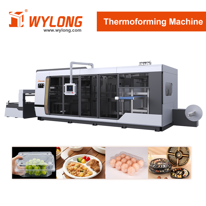 Customizable Multi Station Thermoforming Machine for Pet Clamshell Packaging
