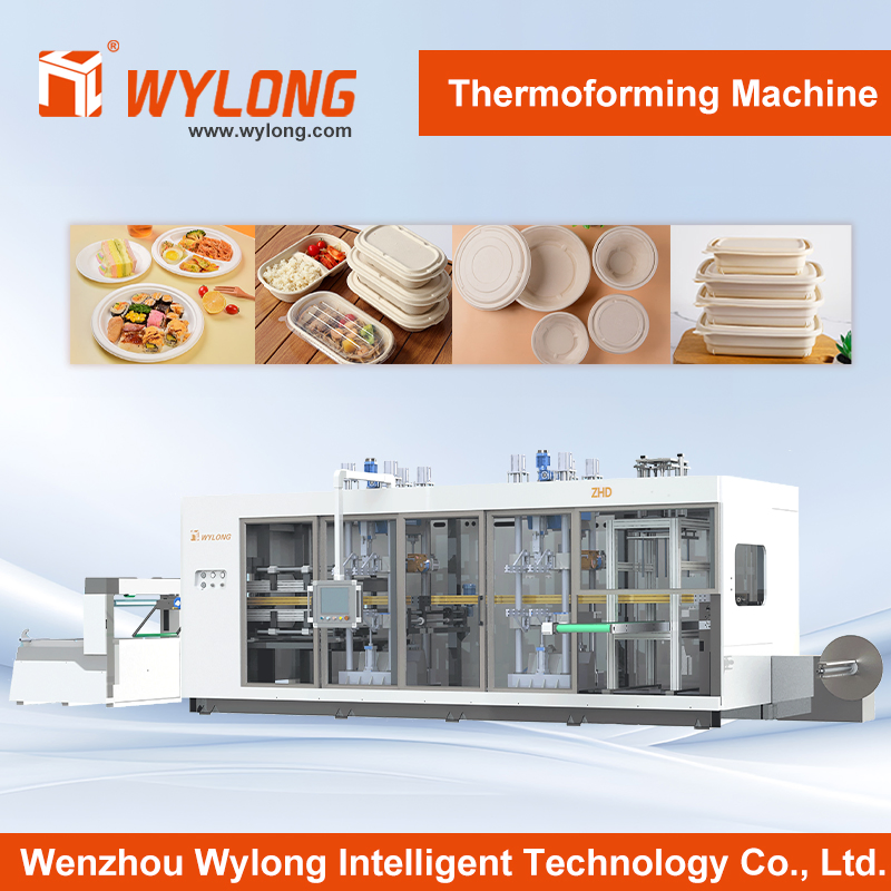 Fully Automatic Thermoformer/ Food Container Take Away Lunch Packaging/Lid/Clamshell Thermoforming Machine