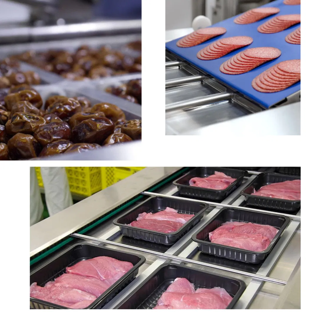 Packaging Equipment Detail