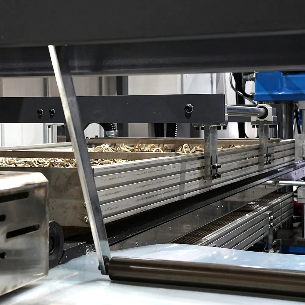 Customizable Multi Station Thermoforming Machine for Pet Clamshell Packaging