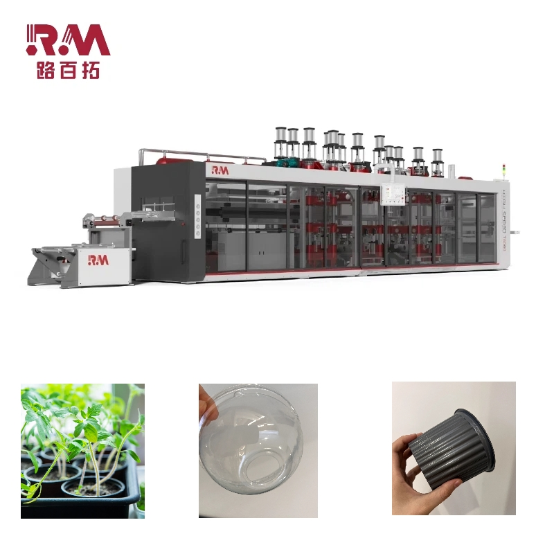 Pressure Forming Thermoforming Machine with Online Palletizing &amp; Customization